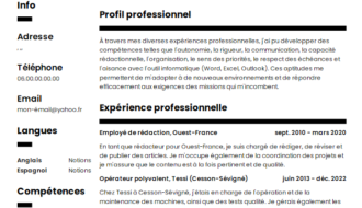 CV et lettre de motivation Assistant(e) de rédaction print et web