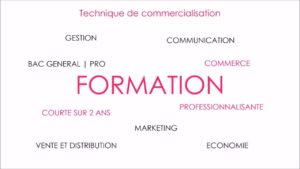 lettre de motivation pour un DUT en technique de commercialisation