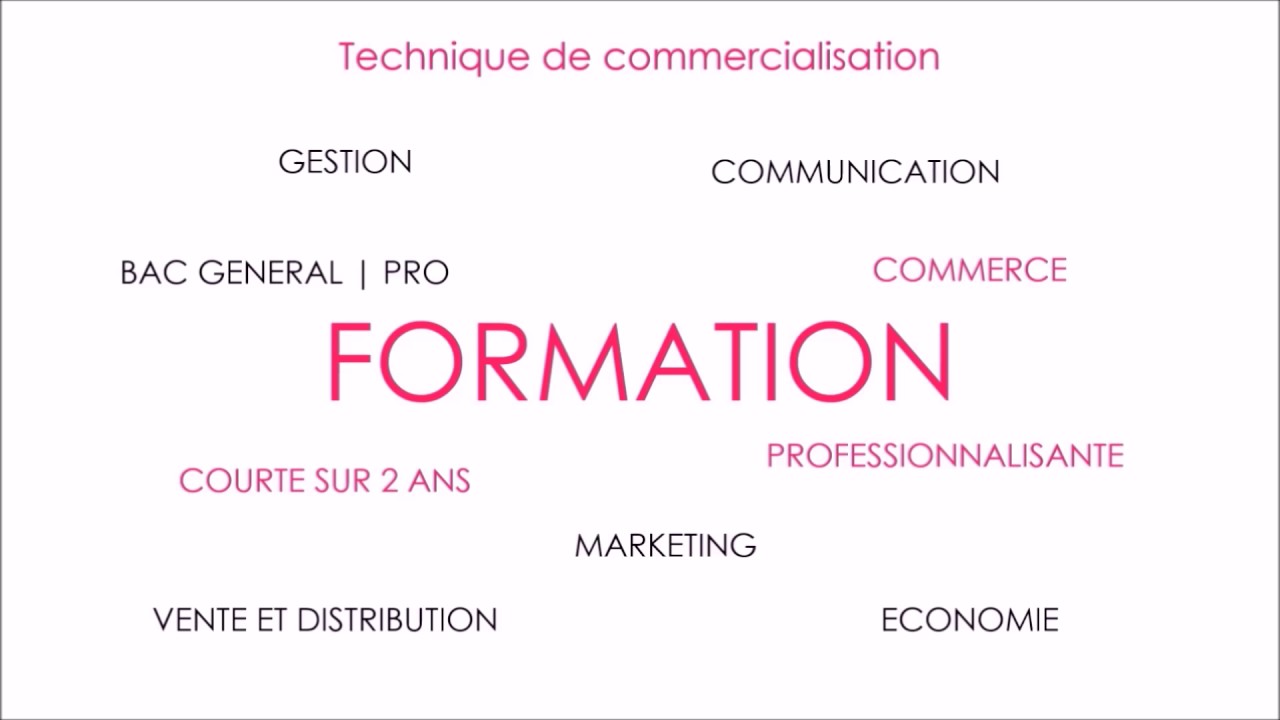 lettre de motivation pour un DUT en technique de commercialisation